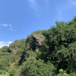 和歌山県天然記念物に指定されている蟾蜍岩（ひきいわ）