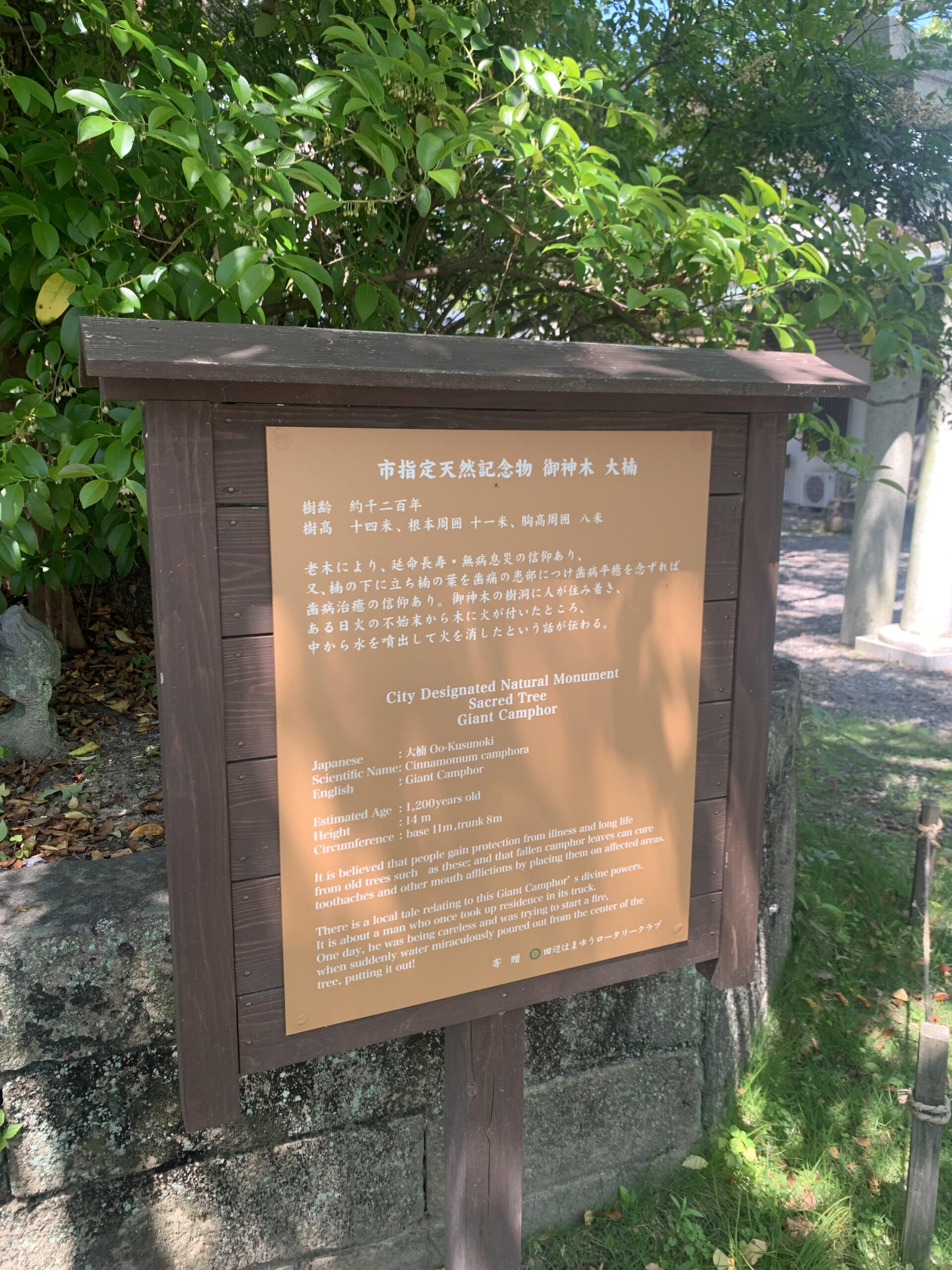 世界遺産 鬪雞神社（闘鶏神社）和歌山県田辺市