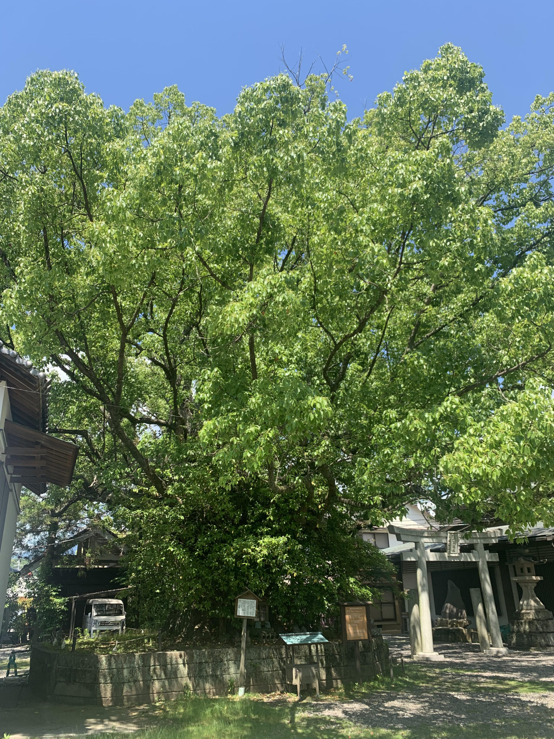 世界遺産 鬪雞神社（闘鶏神社）和歌山県田辺市