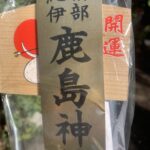 みなべの鹿島神社まで足を延ばして初詣で出会った成人たち